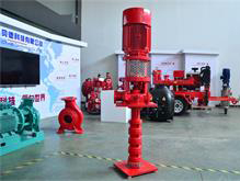 vertical fire pump