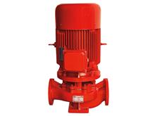 Vertical single stage fire pump