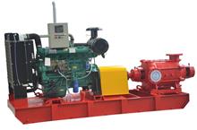 Diesel engine fire water pump