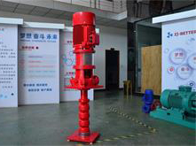  deep well vertical fire pump