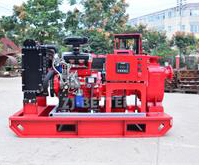 Self Priming Pump for Irrigation