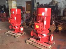 vertical fire pump