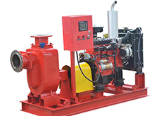 Horizontal fire pump fire sprinkler pump manufacturer