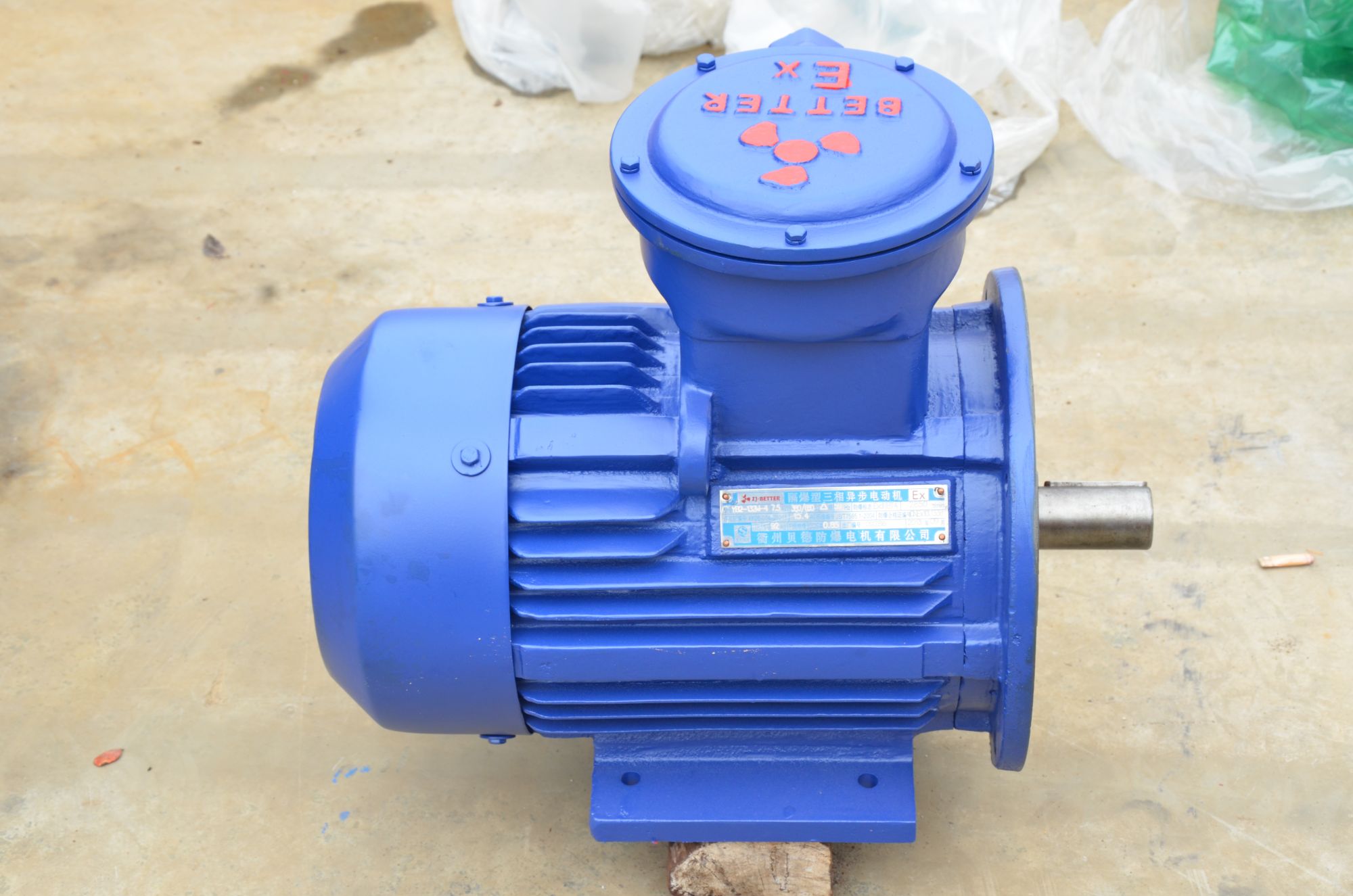 Explosion-proof motor