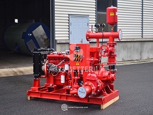 Extreme Emergency Capability: Reliability of Diesel Fire Pumps in High-Risk Environments