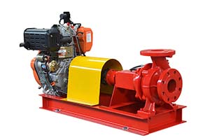 50-300gpm Diesel Fire Pump