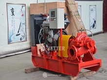 Emergency Supply Diesel Fire Pump Set for Critical Fire Protection Areas