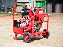 Multi-Purpose Mobile Fire Pump System for Emergency and Temporary Water Supply
