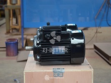 Electric Motors for Fire Pump Systems – Customizable, Affordable, and Performance-Proven