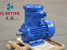 Explosion-proof motor